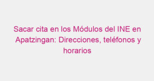 Sacar cita en los Módulos del INE en Apatzingan: Direcciones, teléfonos y horarios