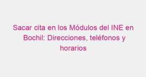 Sacar cita en los Módulos del INE en Bochil: Direcciones, teléfonos y horarios