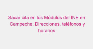 Sacar cita en los Módulos del INE en Campeche: Direcciones, teléfonos y horarios
