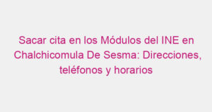 Sacar cita en los Módulos del INE en Chalchicomula De Sesma: Direcciones, teléfonos y horarios