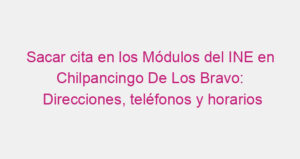 Sacar cita en los Módulos del INE en Chilpancingo De Los Bravo: Direcciones, teléfonos y horarios