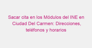 Sacar cita en los Módulos del INE en Ciudad Del Carmen: Direcciones, teléfonos y horarios