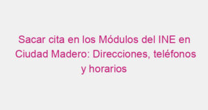 Sacar cita en los Módulos del INE en Ciudad Madero: Direcciones, teléfonos y horarios