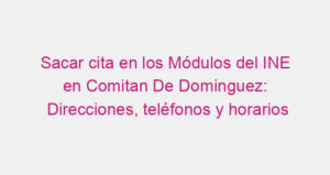 Sacar cita en los Módulos del INE en Comitan De Dominguez: Direcciones, teléfonos y horarios
