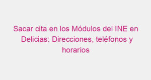 Sacar cita en los Módulos del INE en Delicias: Direcciones, teléfonos y horarios