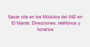 Sacar cita en los Módulos del INE en El Mante: Direcciones, teléfonos y horarios