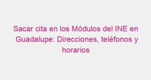 Sacar cita en los Módulos del INE en Guadalupe: Direcciones, teléfonos y horarios