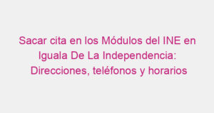 Sacar cita en los Módulos del INE en Iguala De La Independencia: Direcciones, teléfonos y horarios