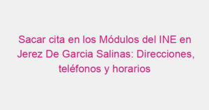 Sacar cita en los Módulos del INE en Jerez De Garcia Salinas: Direcciones, teléfonos y horarios