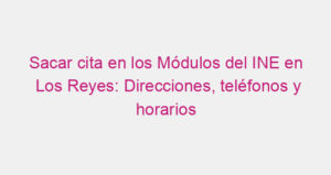 Sacar cita en los Módulos del INE en Los Reyes: Direcciones, teléfonos y horarios