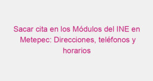 Sacar cita en los Módulos del INE en Metepec: Direcciones, teléfonos y horarios