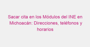 Sacar cita en los Módulos del INE en Michoacán: Direcciones, teléfonos y horarios
