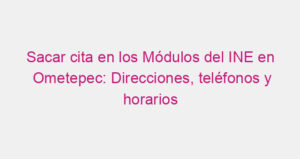 Sacar cita en los Módulos del INE en Ometepec: Direcciones, teléfonos y horarios