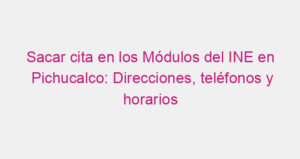 Sacar cita en los Módulos del INE en Pichucalco: Direcciones, teléfonos y horarios