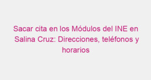 Sacar cita en los Módulos del INE en Salina Cruz: Direcciones, teléfonos y horarios