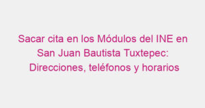 Sacar cita en los Módulos del INE en San Juan Bautista Tuxtepec: Direcciones, teléfonos y horarios