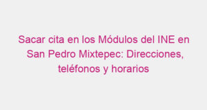 Sacar cita en los Módulos del INE en San Pedro Mixtepec: Direcciones, teléfonos y horarios
