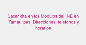 Sacar cita en los Módulos del INE en Tamaulipas: Direcciones, teléfonos y horarios