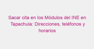 Sacar cita en los Módulos del INE en Tapachula: Direcciones, teléfonos y horarios