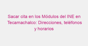 Sacar cita en los Módulos del INE en Tecamachalco: Direcciones, teléfonos y horarios