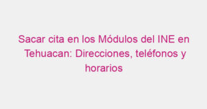 Sacar cita en los Módulos del INE en Tehuacan: Direcciones, teléfonos y horarios