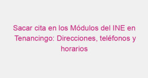 Sacar cita en los Módulos del INE en Tenancingo: Direcciones, teléfonos y horarios