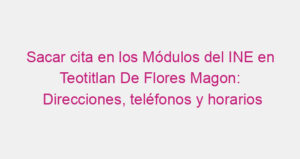 Sacar cita en los Módulos del INE en Teotitlan De Flores Magon: Direcciones, teléfonos y horarios