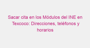 Sacar cita en los Módulos del INE en Texcoco: Direcciones, teléfonos y horarios