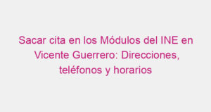 Sacar cita en los Módulos del INE en Vicente Guerrero: Direcciones, teléfonos y horarios