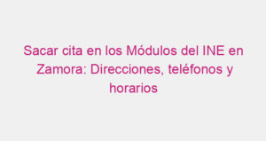 Sacar cita en los Módulos del INE en Zamora: Direcciones, teléfonos y horarios