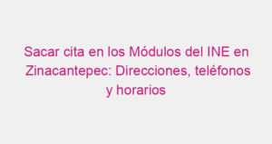 Sacar cita en los Módulos del INE en Zinacantepec: Direcciones, teléfonos y horarios